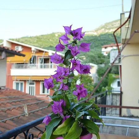Hotel Ridal